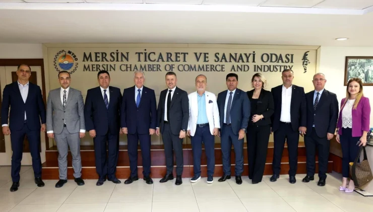 Mersin Deniz Ticaret Odası Başkanı Sektörel Sorunları Tartıştı