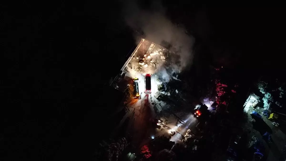 Bozüyük’te Geri Dönüşüm Tesisinde Yangın