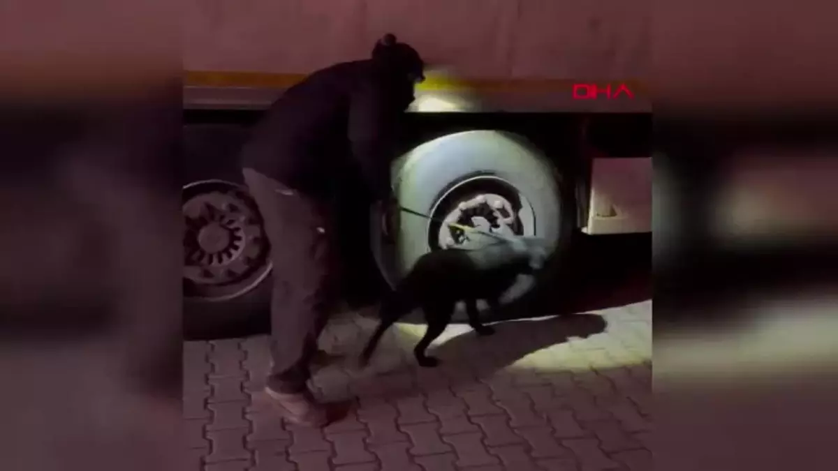 Uyuşturucu Sevkiyatı Şüphesiyle Durdurulan TIR’nin Sürücüsü Tutuklandı