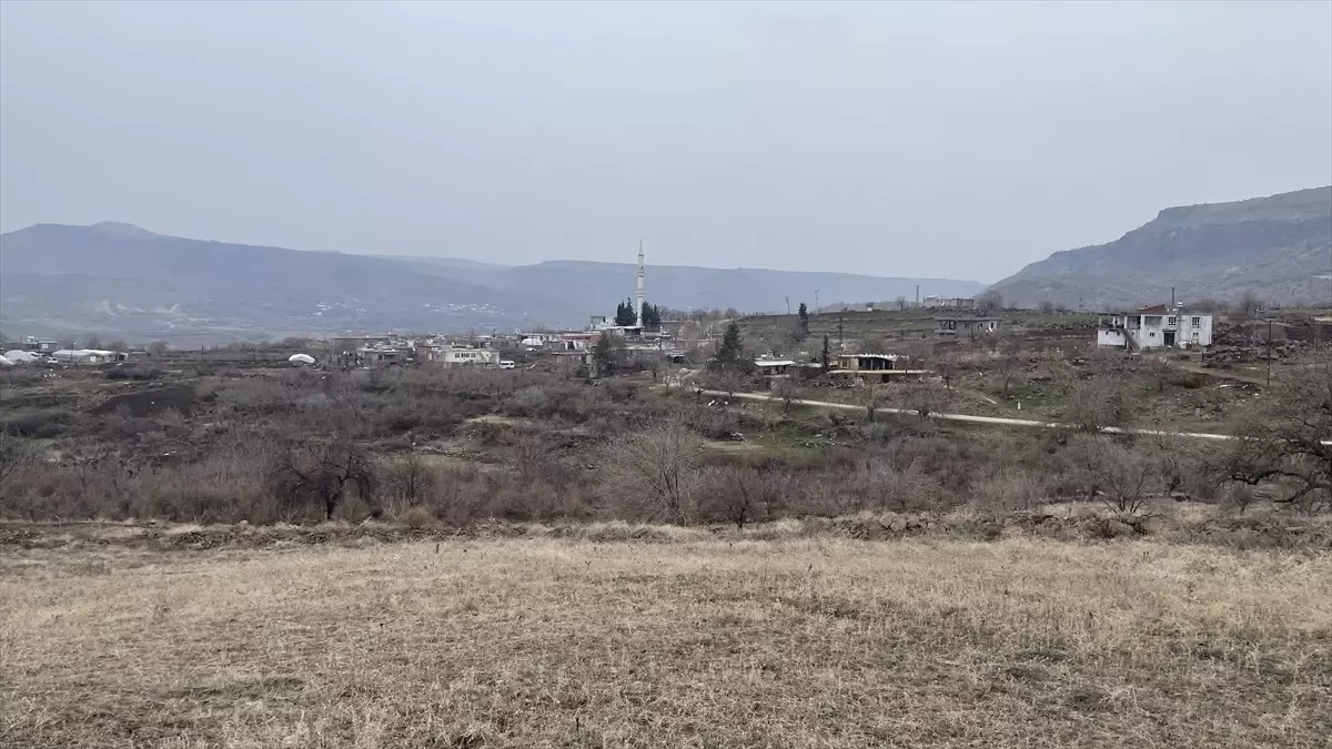 Siverek’te Sahipsiz Köpek Saldırısı